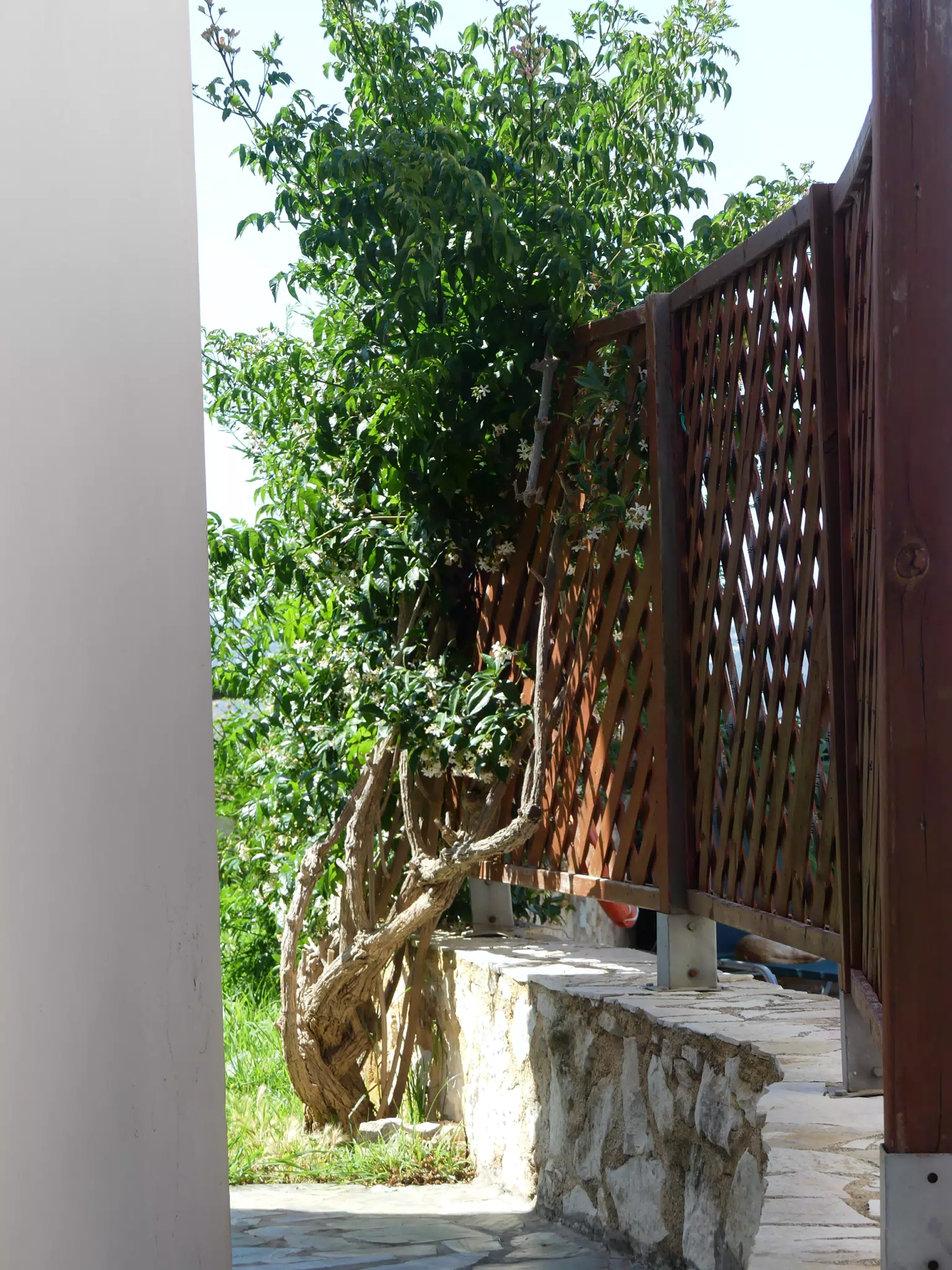 Cretan Garden Wall