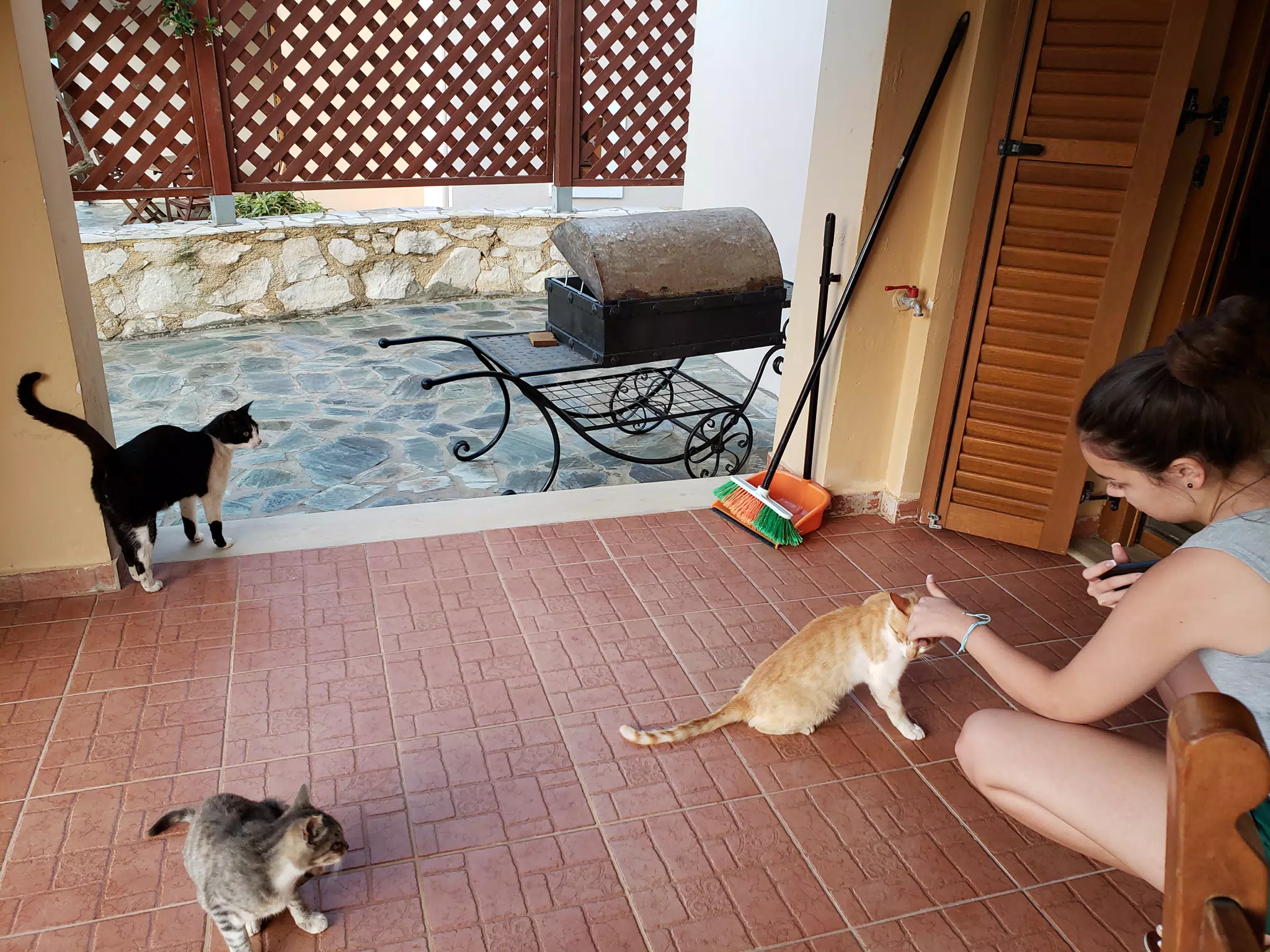 Emily Hanging with the Aptera Cats
