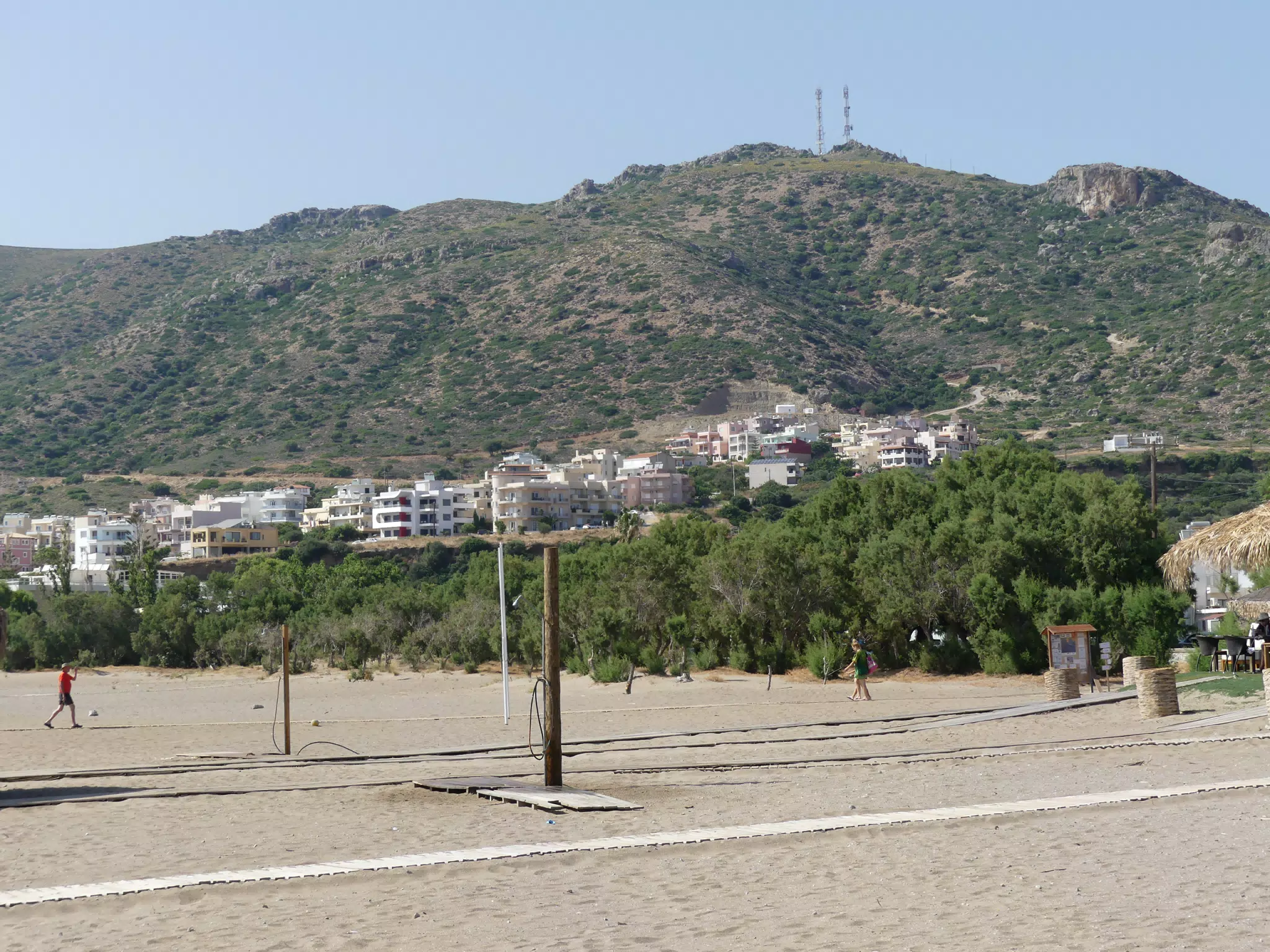 Palaiochora