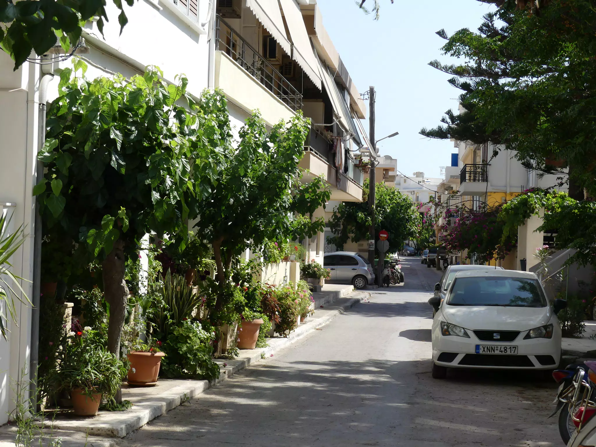 Street in Palaiochora