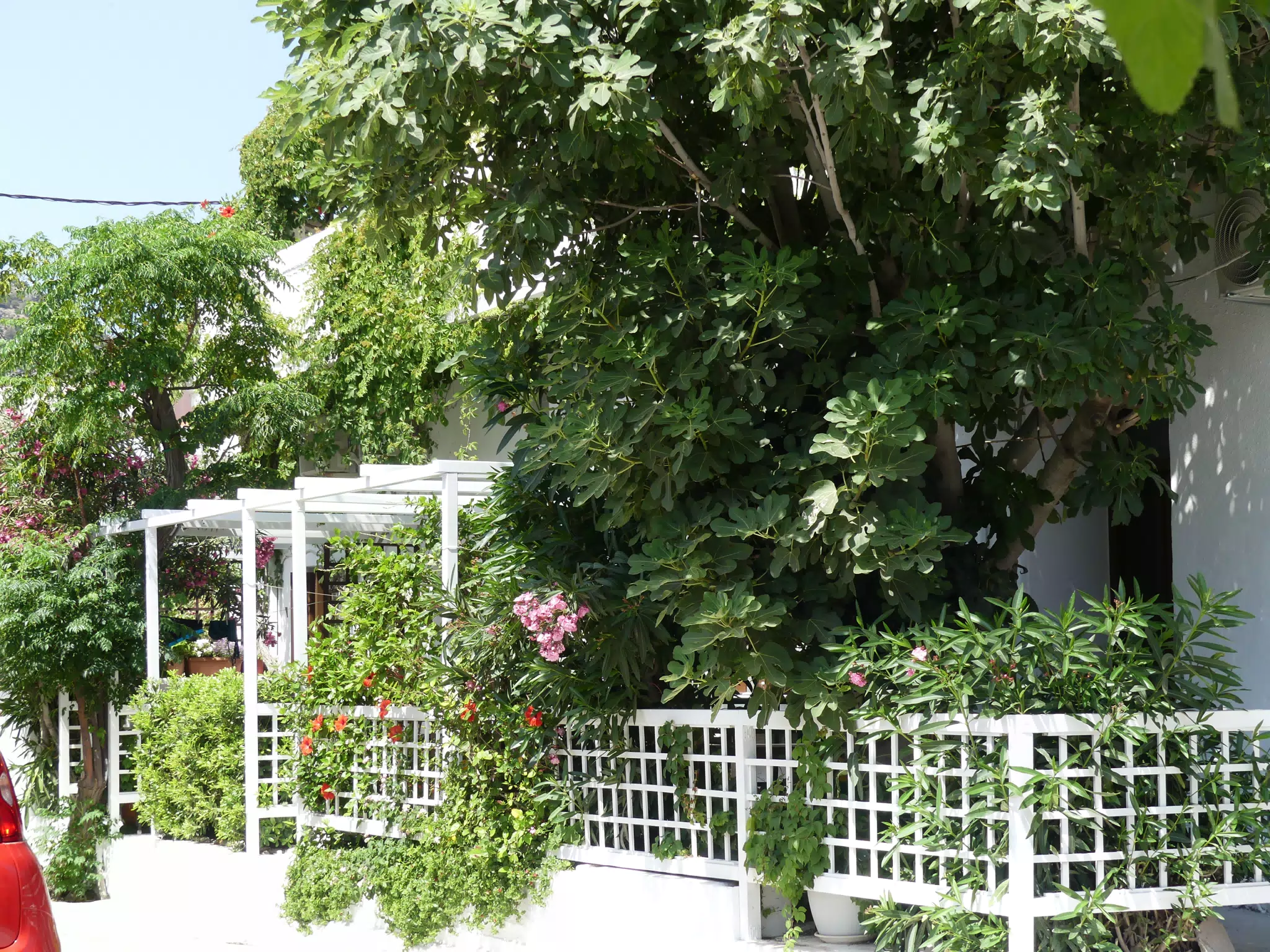 Street in Paleochora, Crete