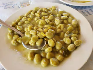 Fava Bean and Fennel Dinner