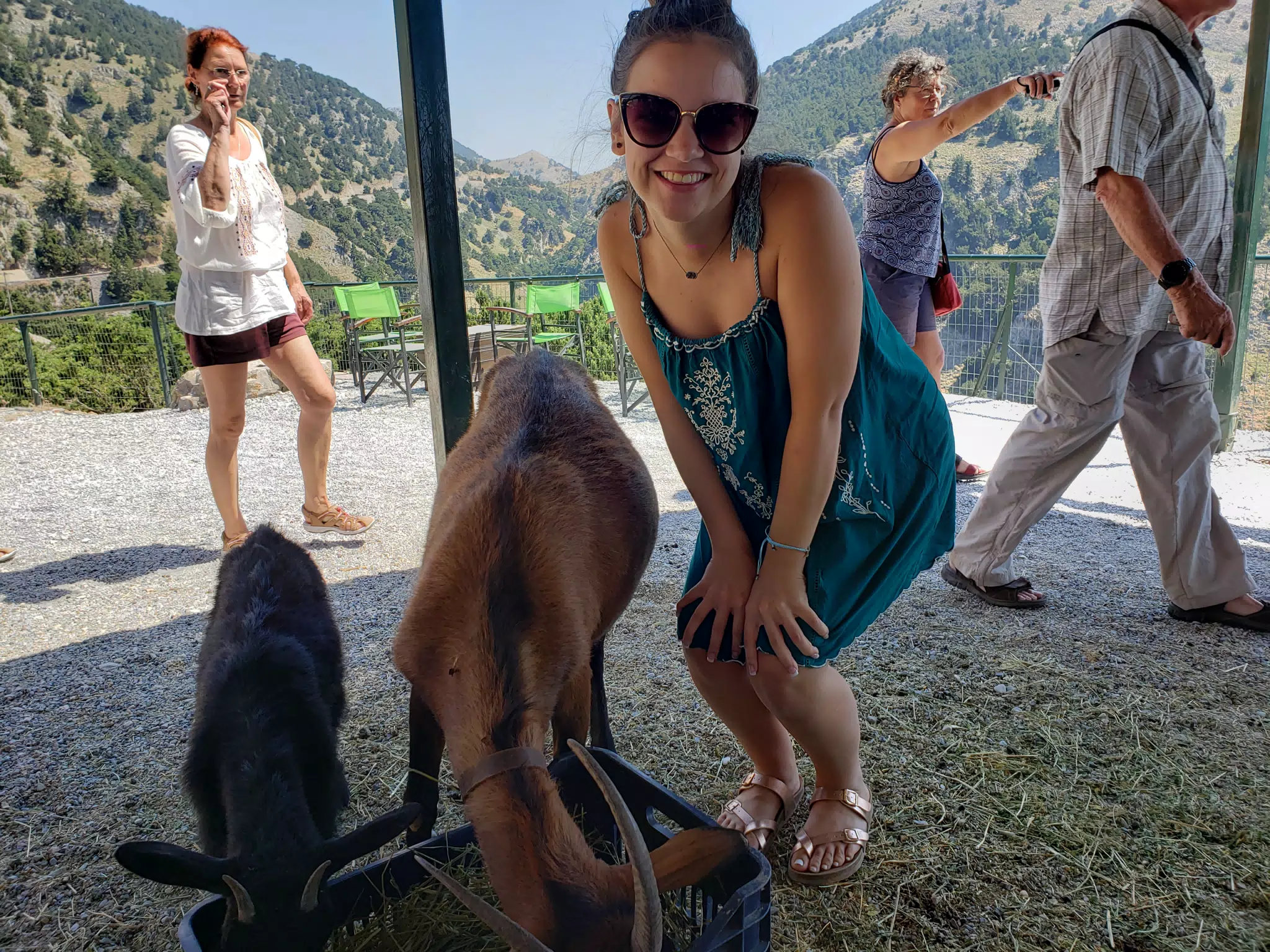 Emily Posing with Goats on Crete