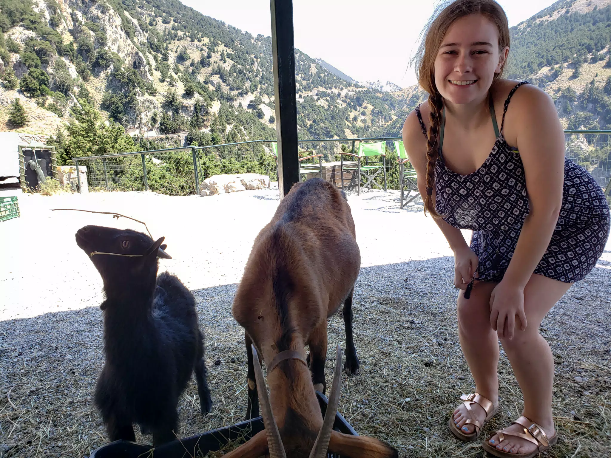 Madeline Posing with Goats