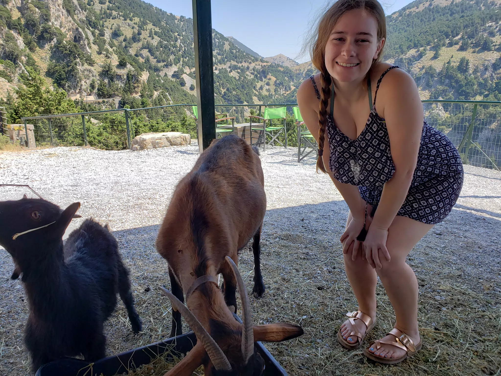 Madeline Posing with Goats on Crete
