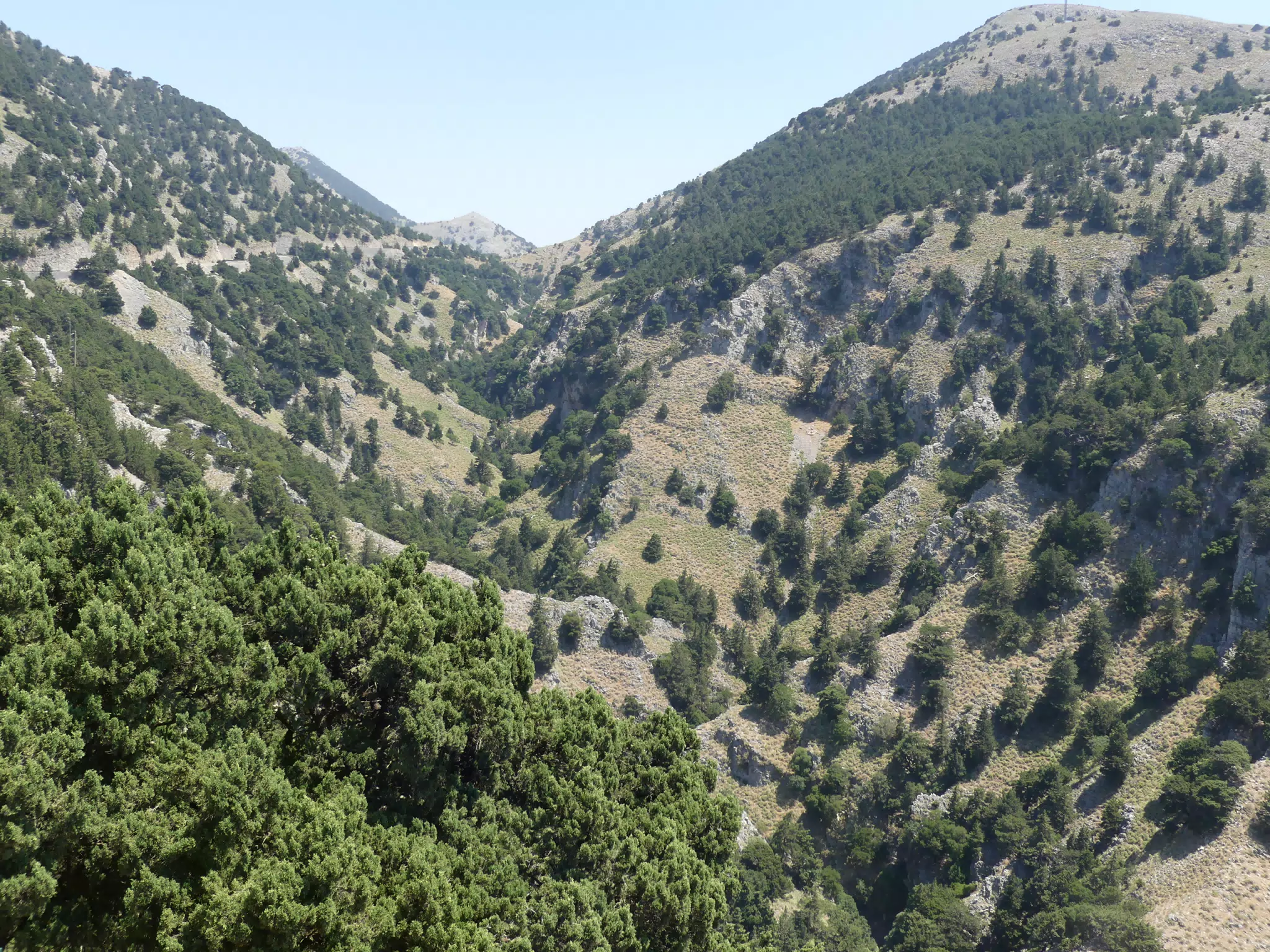 Gorge on Crete