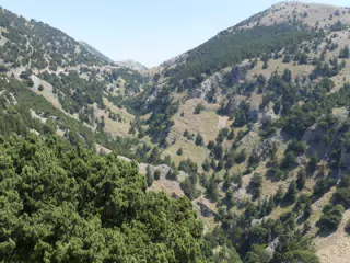 Gorge on Crete