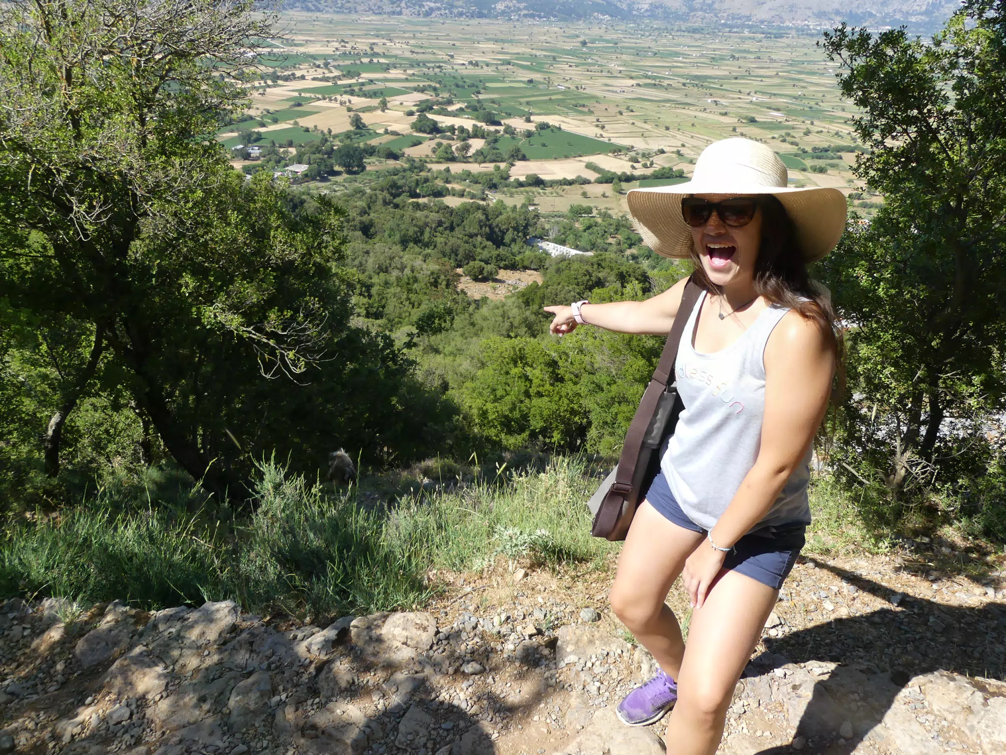 Emily Says We Climbed Up That