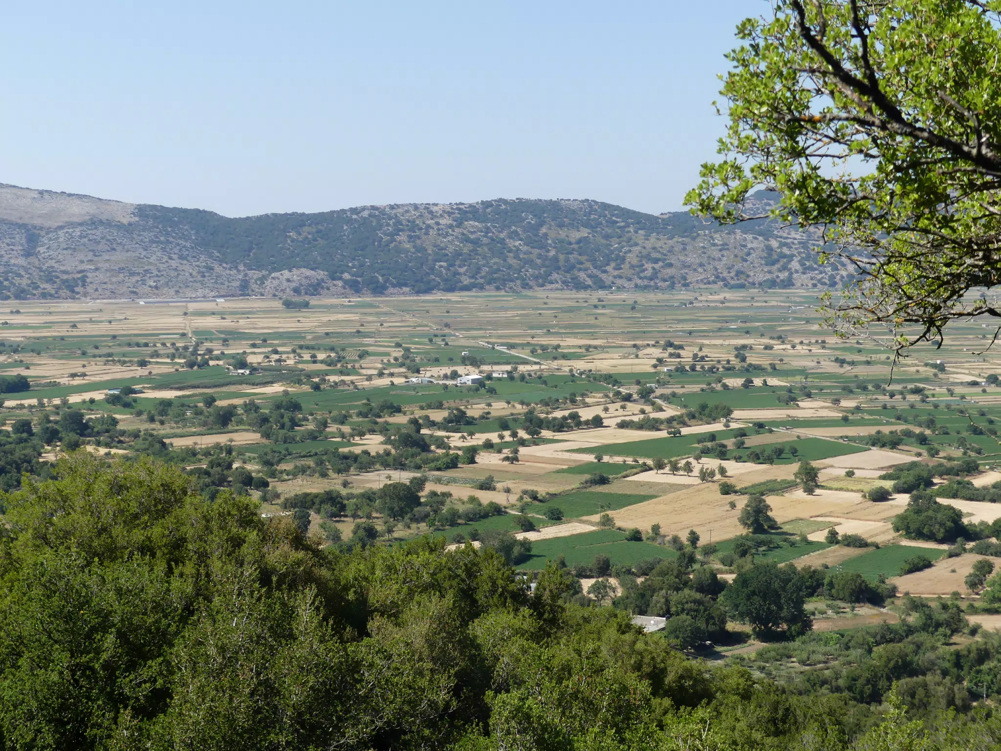 Lasithi Plateau