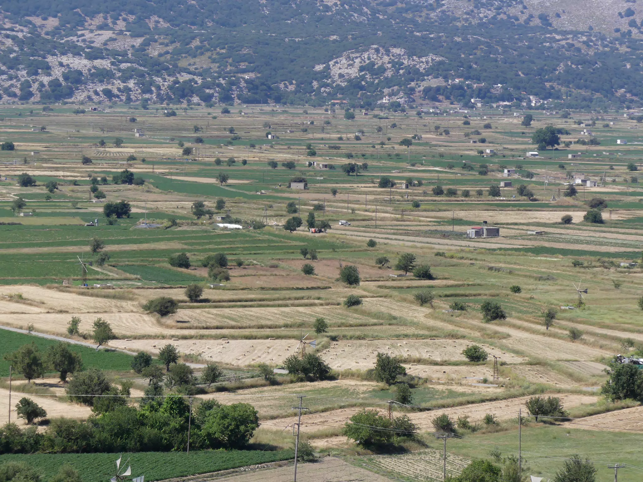 Lasithi Plateau