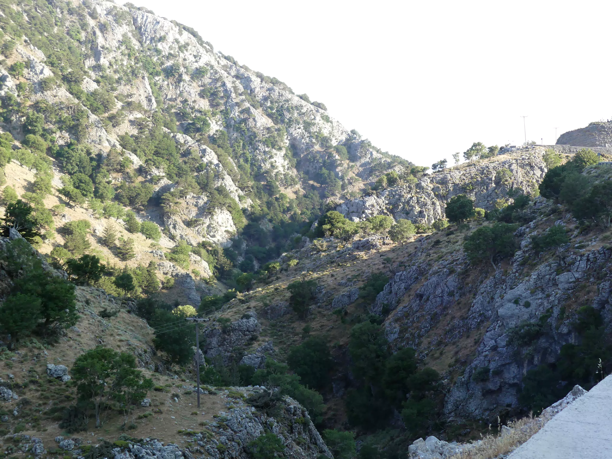 P1050568