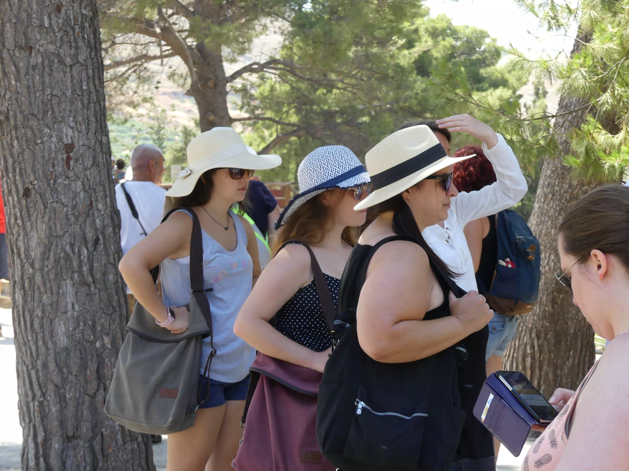 Emily, Madeline & Dominica in Trees at Knossos