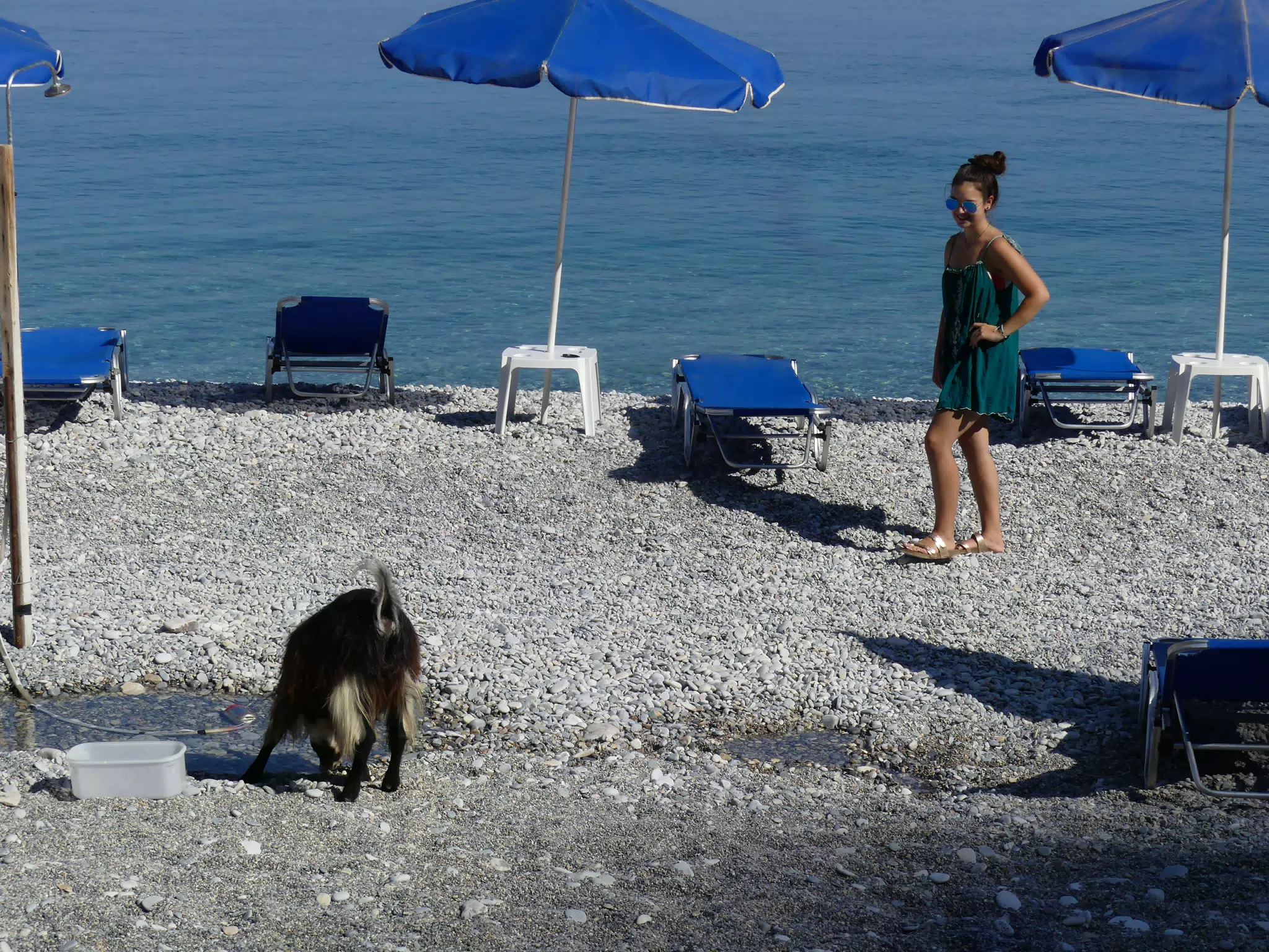 Emily on Greek Beach with Goat