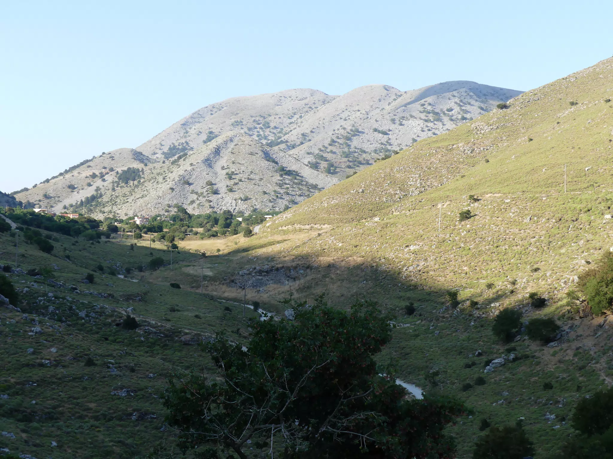 P1050569