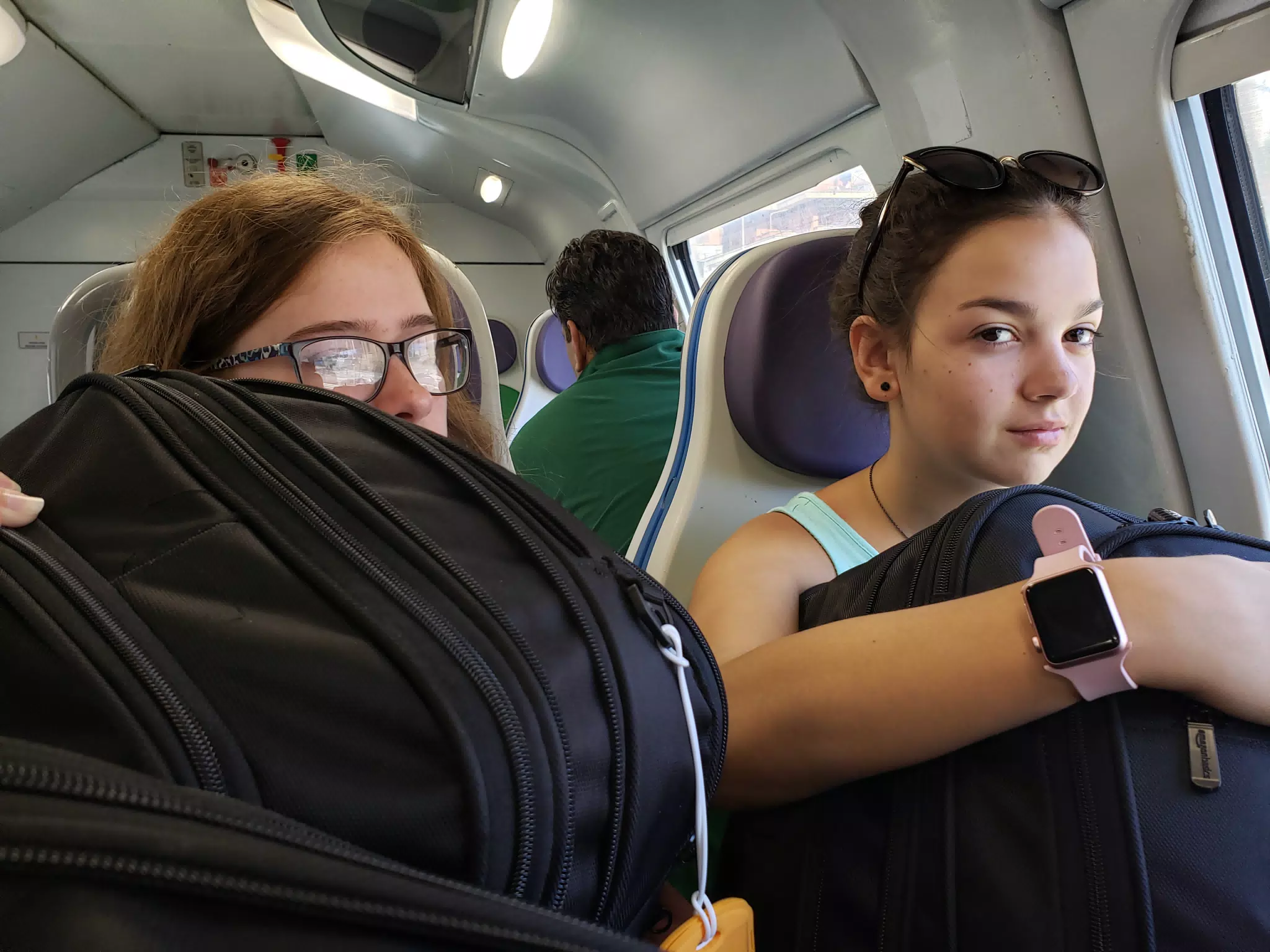 Emily on the Train