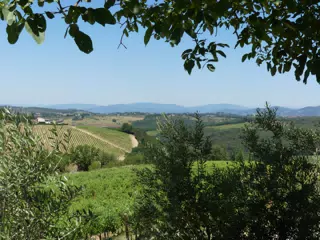 P1070029