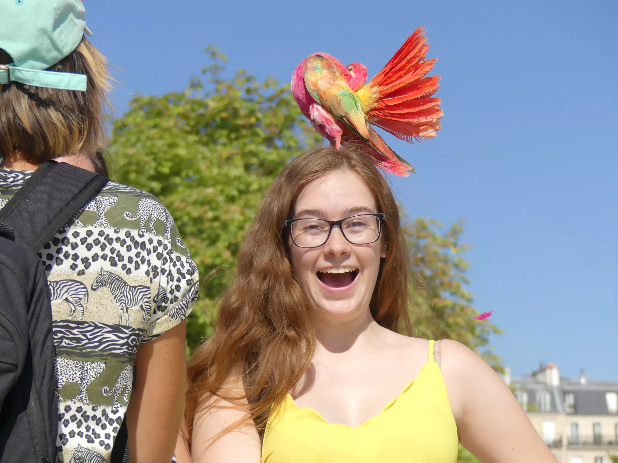 Bird on Madeline's Head in Paris