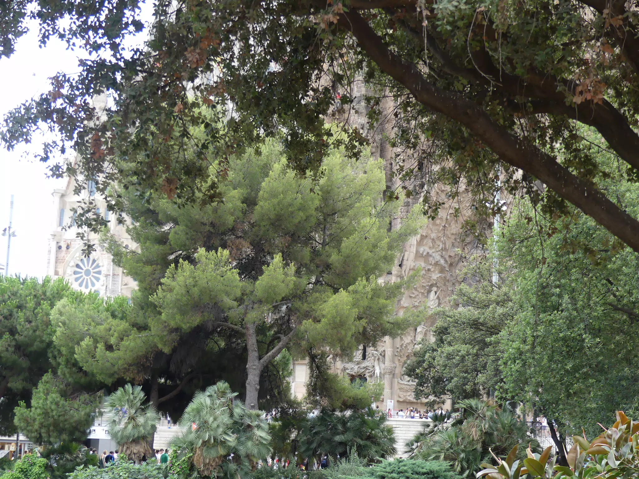 P1090386