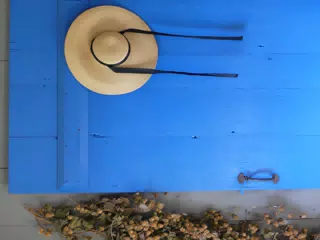 Blue Door at the Genesee Country Village Museum