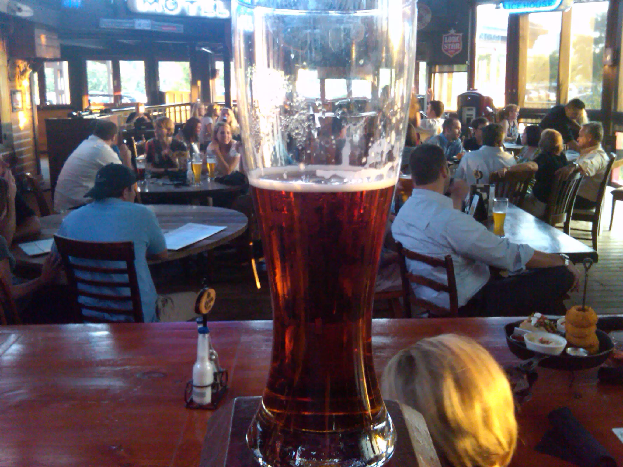Shiner at the Ranch