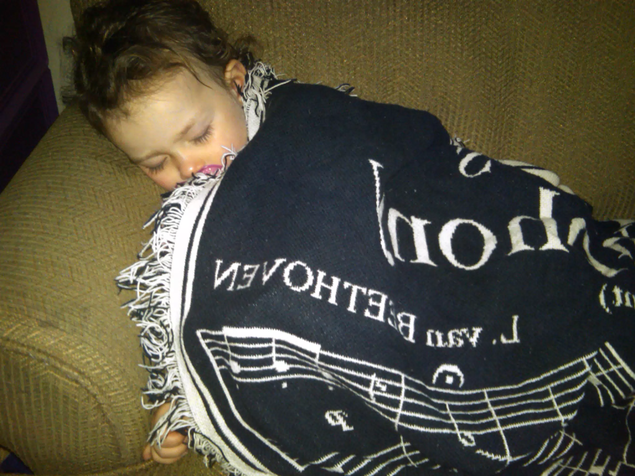 Liesl Sleeping on Her Couch