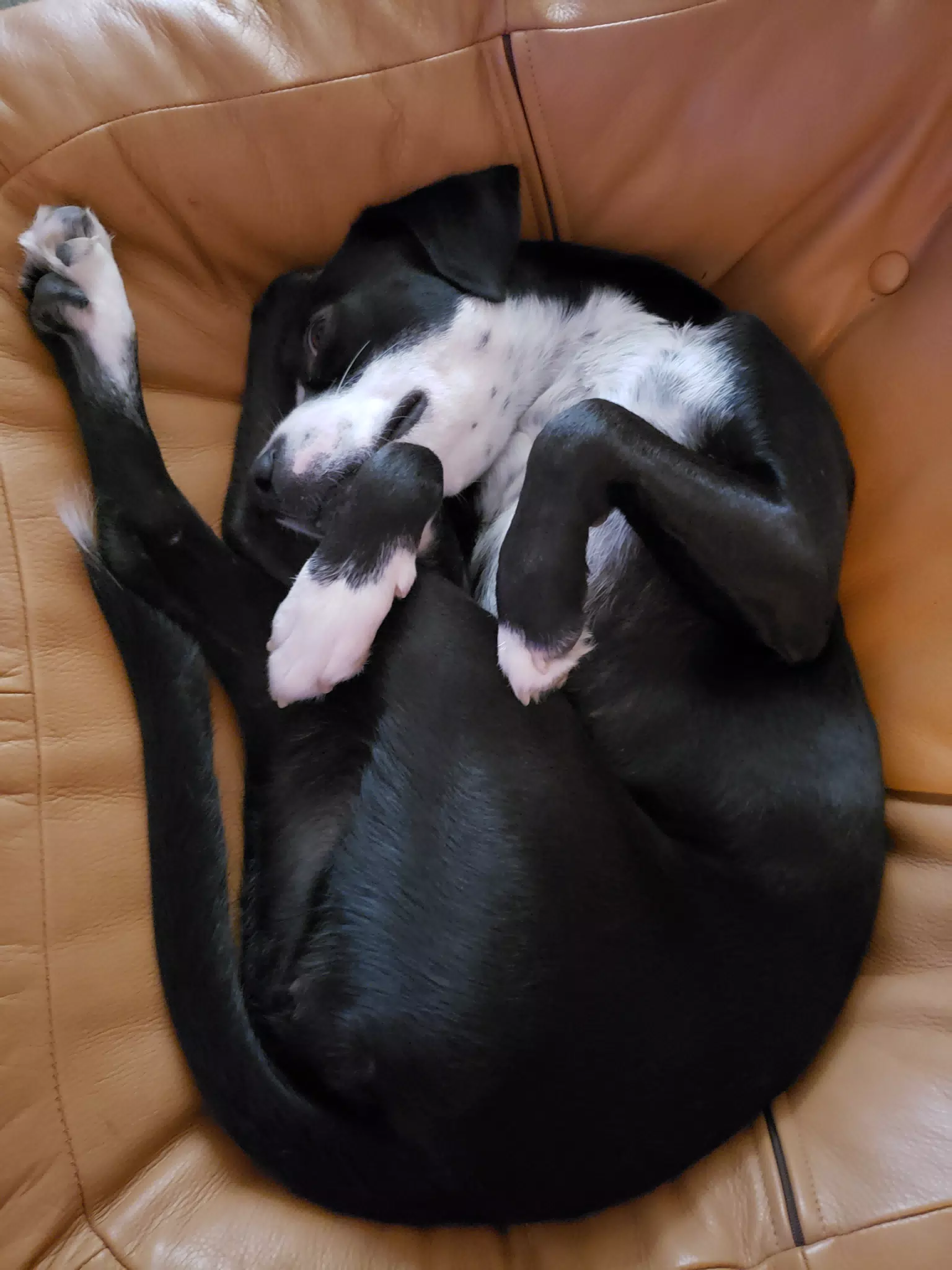 Mia Upside Down