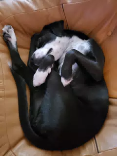 Mia Upside Down