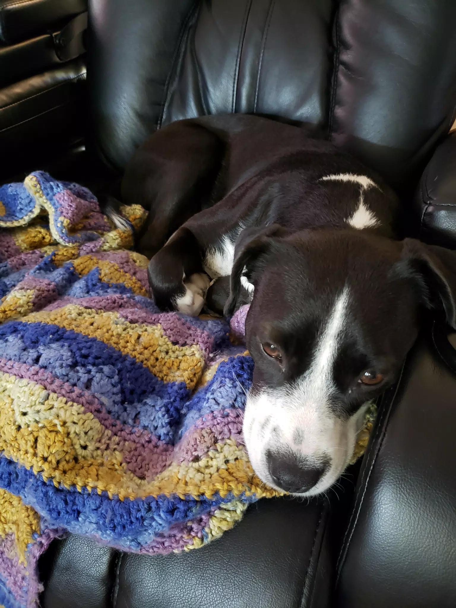 Mia on the Couch