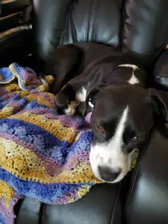 Mia on the Couch
