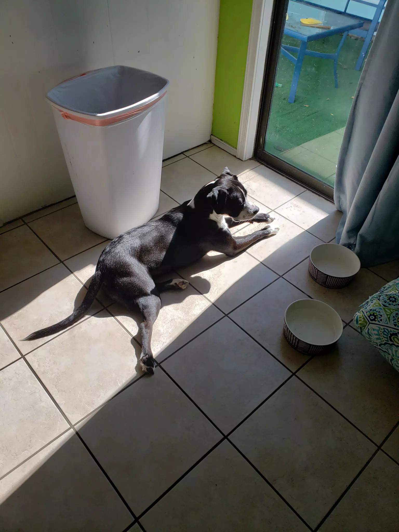 Mia in Kitchen Sun Spot