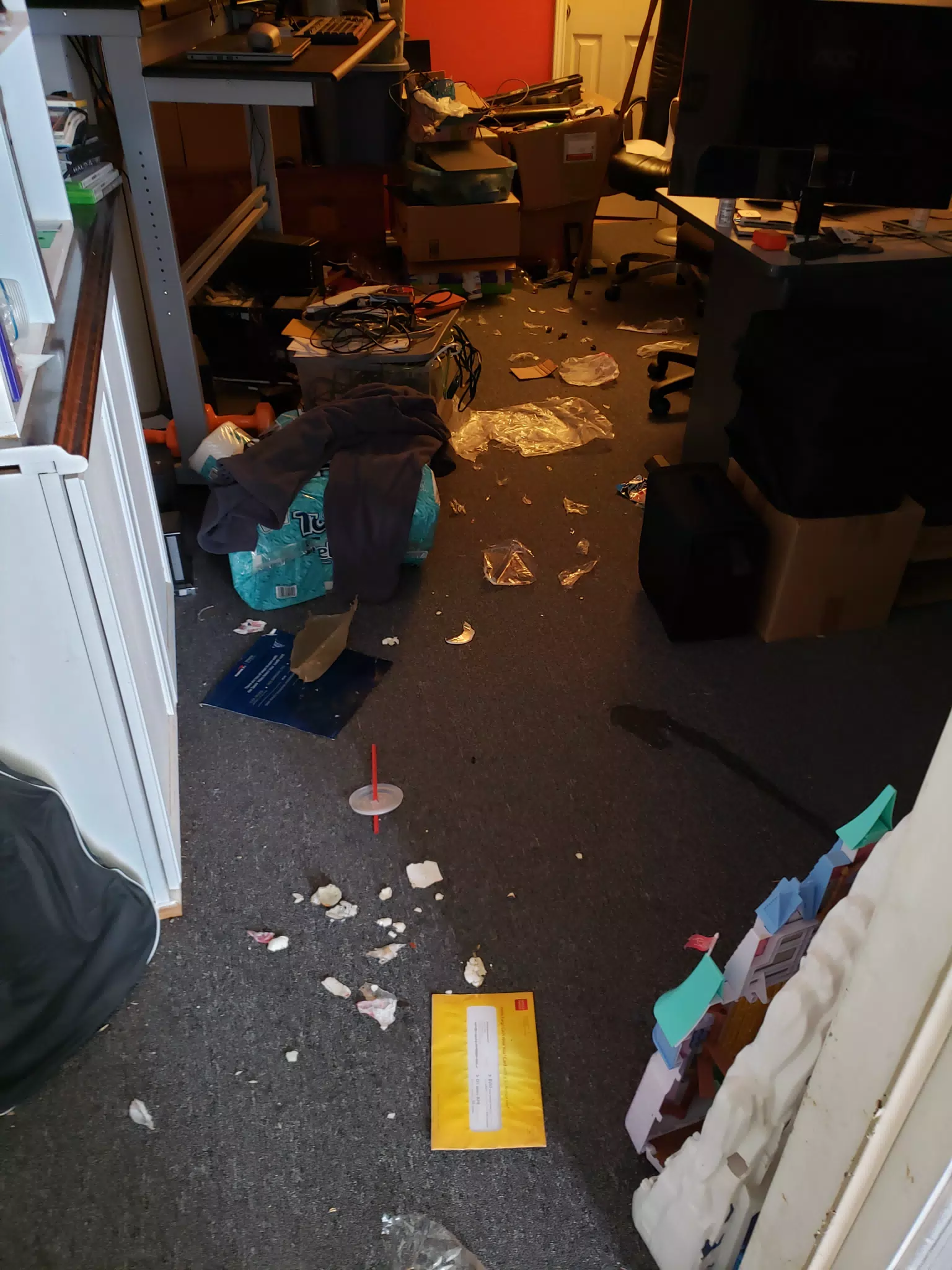 Mia's Mess in My Office