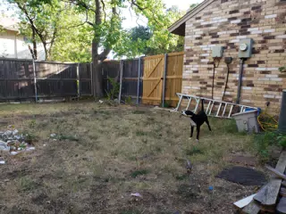 Mia with a Stick