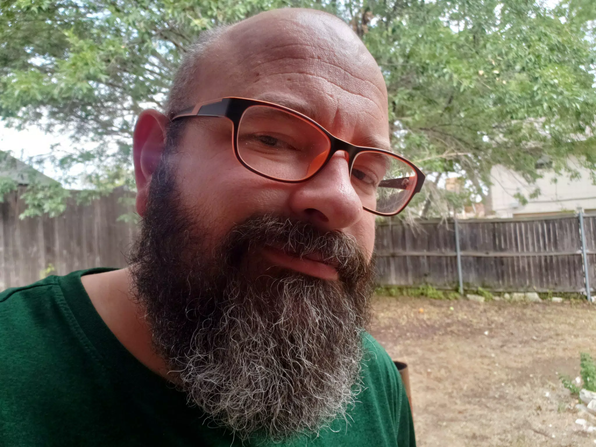 In the Back Yard