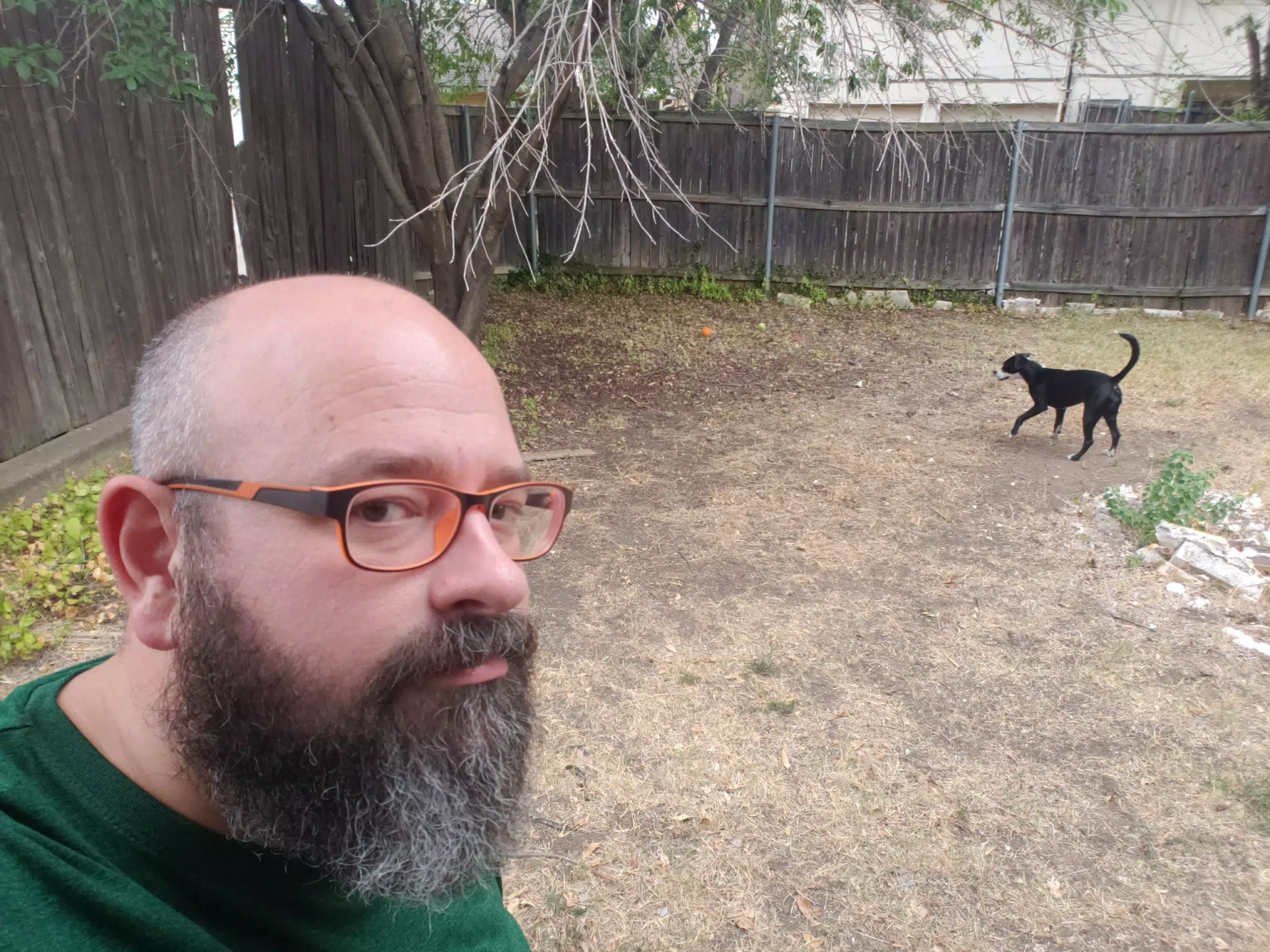 Mia in the Yard