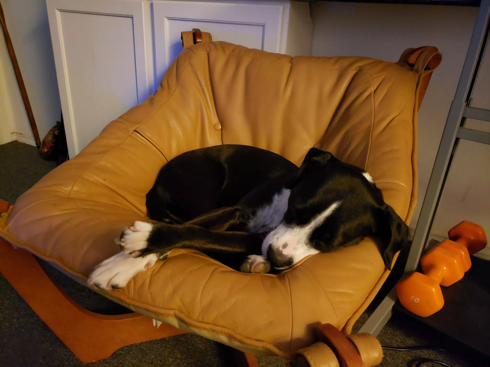 Mia in My Chair