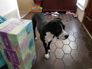 Mia in the Entry
