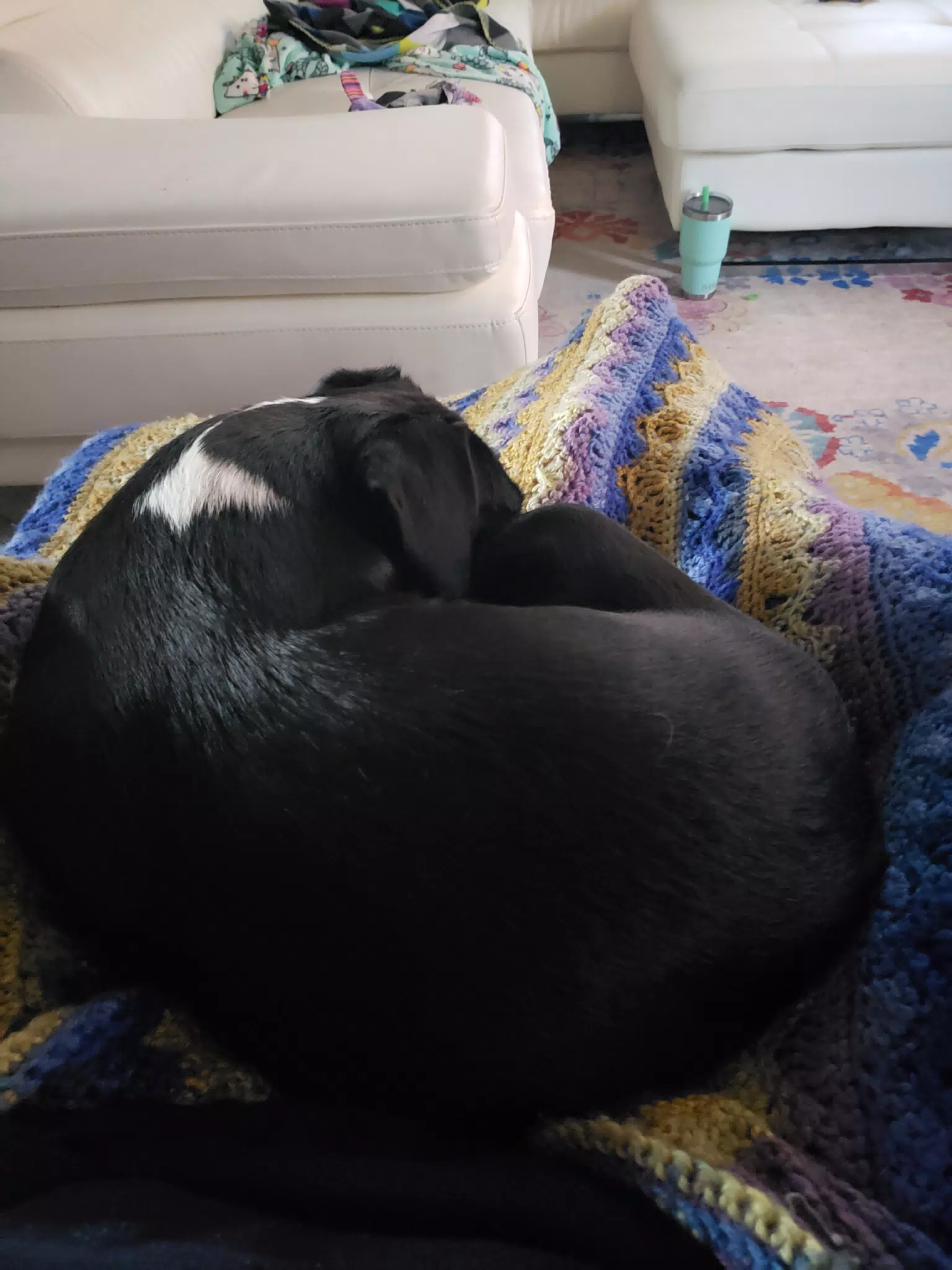 Mia Sleeping