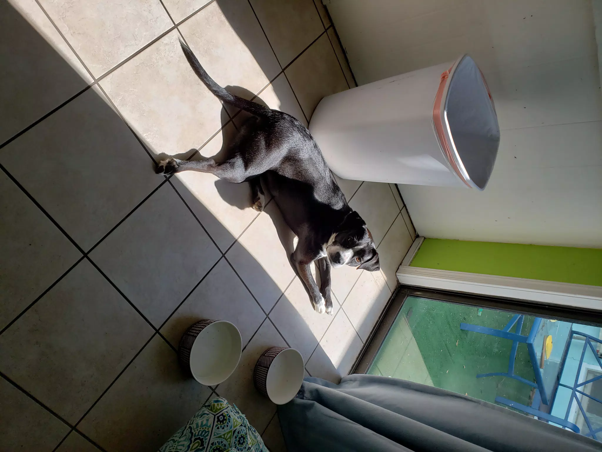 Mia in the Kitchen Sun