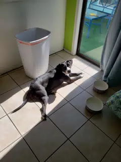 Mia in the Kitchen Sun