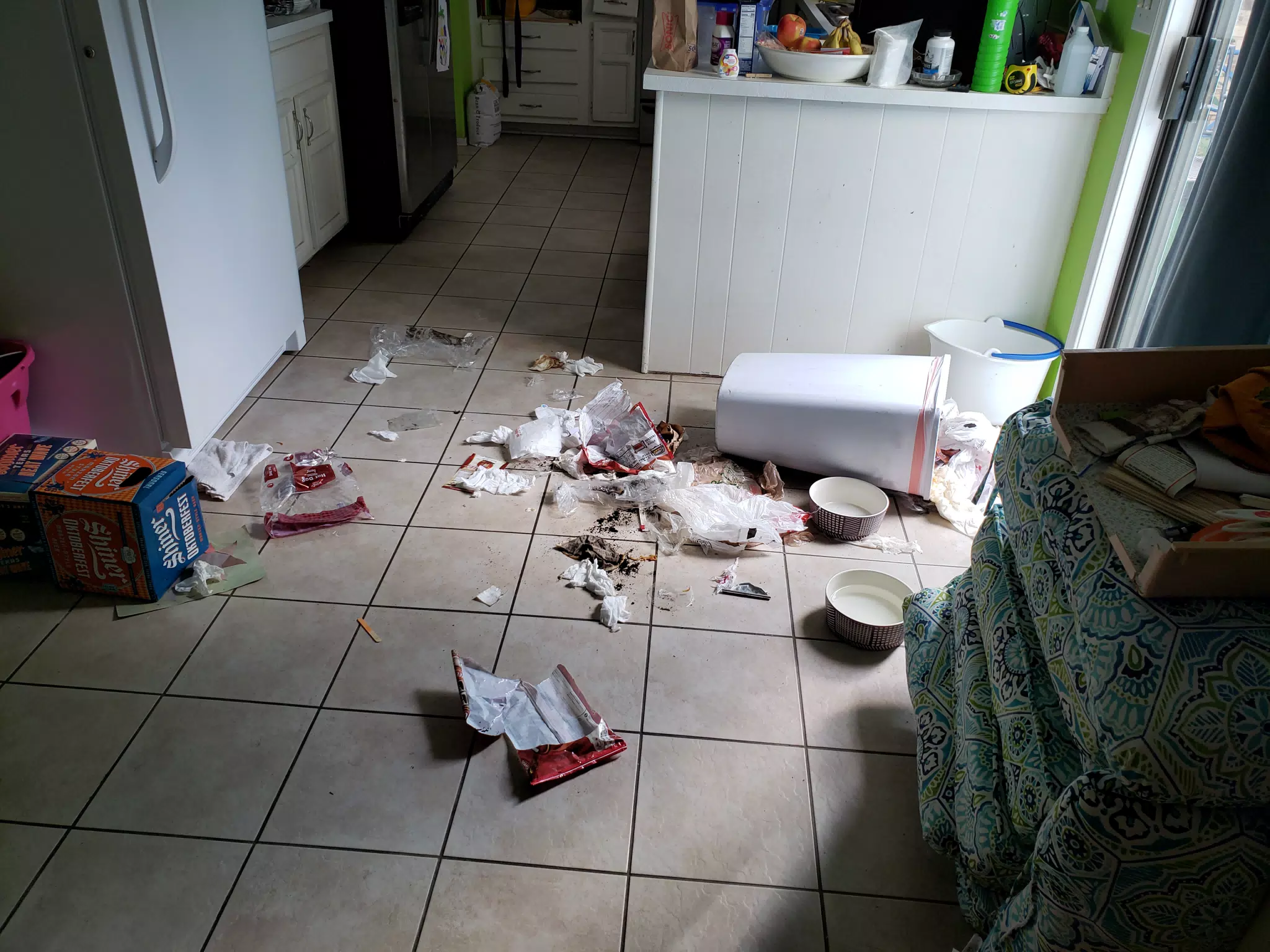 Mia's Mess in the Kitchen