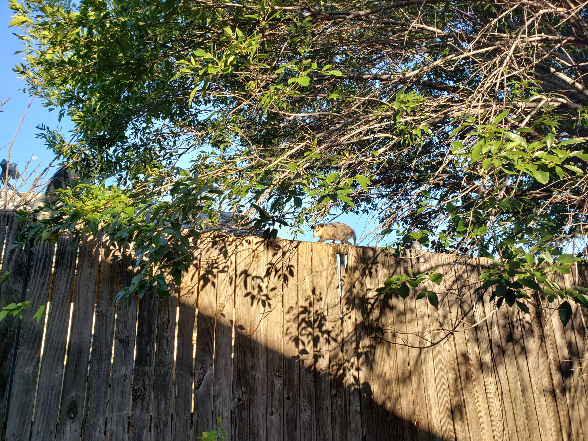 20190917_081214
