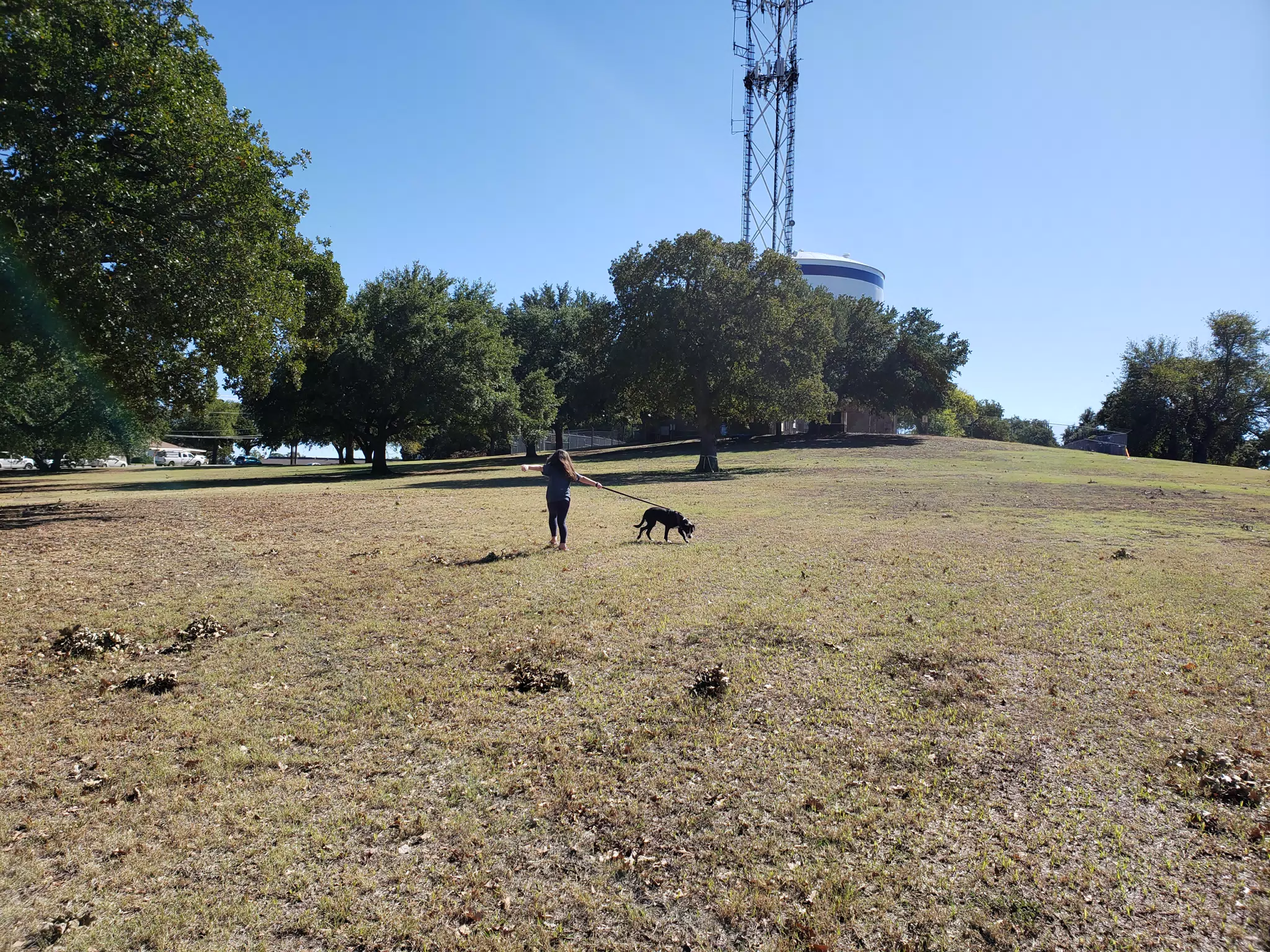 Luciana Walking Mia in Denton Park