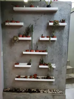 Cacti Wall at El Barrio Cafe