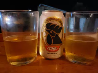 Gallo Cerveza