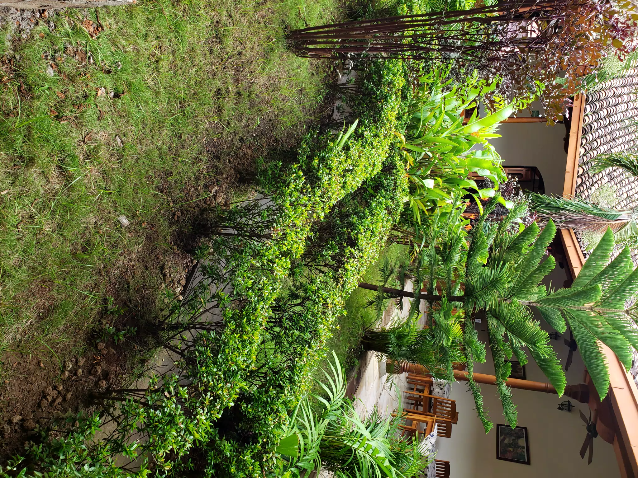 Garden at El Almirante Granada