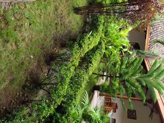 Garden at El Almirante Granada