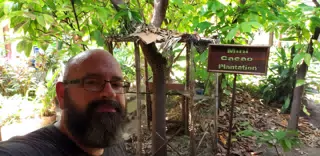 Cacao Plantation at the Choco Museo