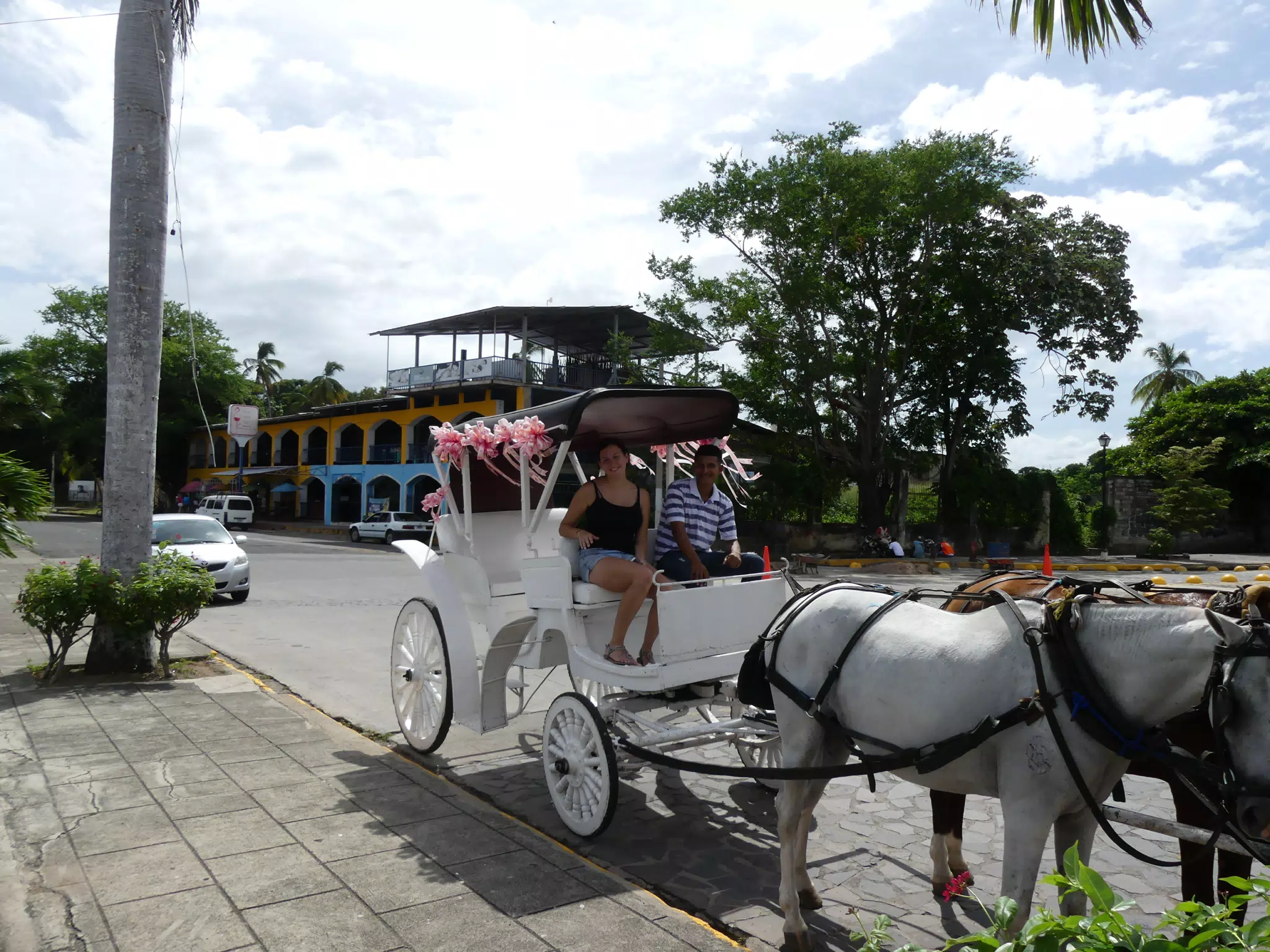 Horse Drawn Carriage Ride in Granada
