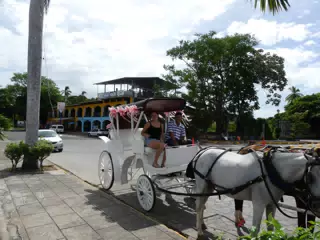Horse Drawn Carriage Ride in Granada