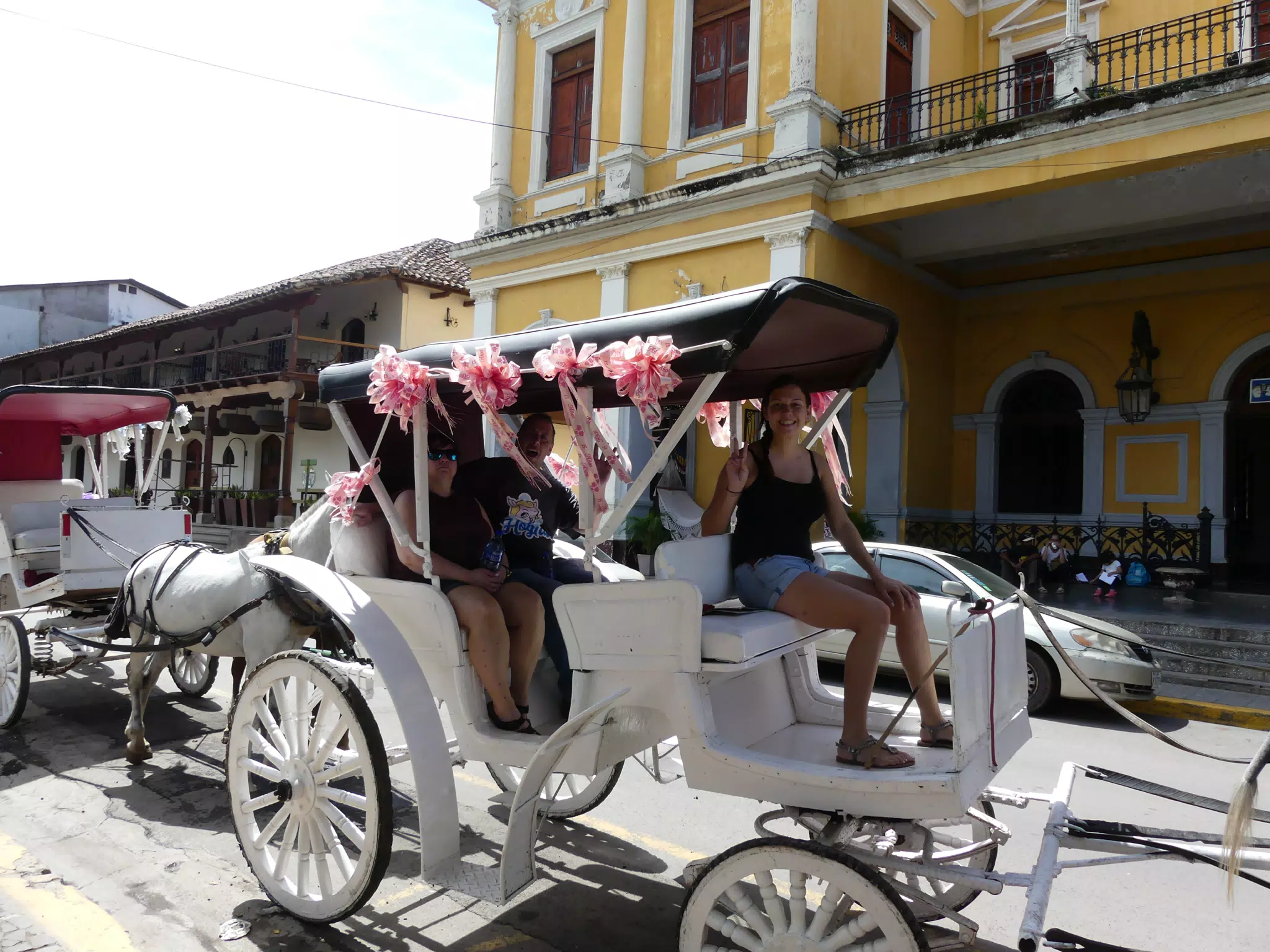 Horse Drawn Carriage Ride in Granada